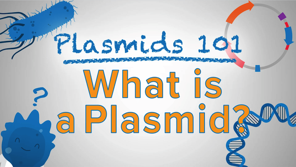 plasmids-101-what-is-a-plasmid